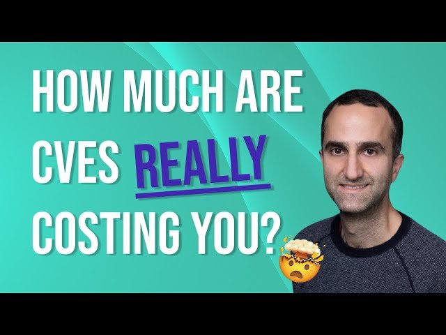How Much Money Are Common Vulnerabilities and Exposures (CVEs) Costing You?