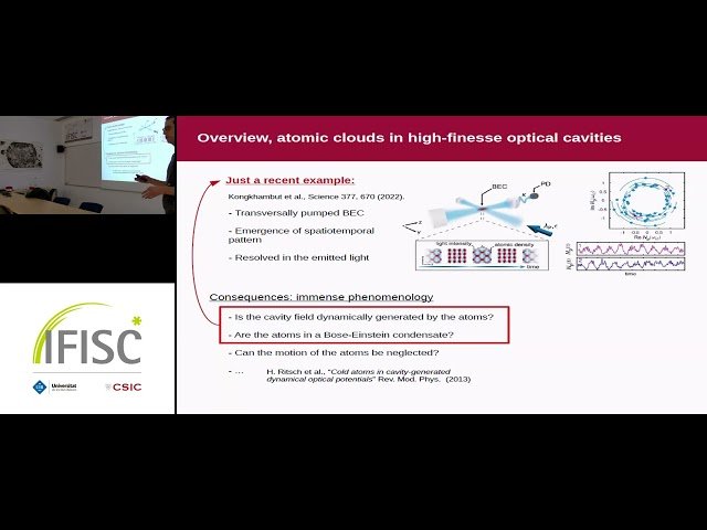 Parameter Estimation Using the Emitted Light of a Collective Atomic System