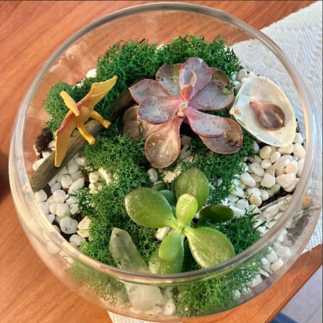 Virtual Terrarium Making (Kit Included) (Team Building)