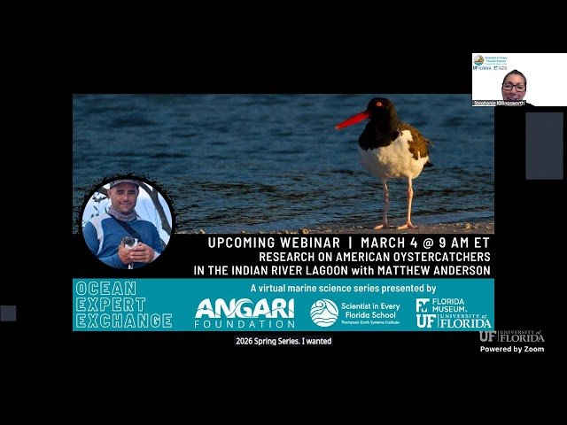 Ocean Expert Exchange - Diary of a Bull Shark Movement Ecology in the Everglades