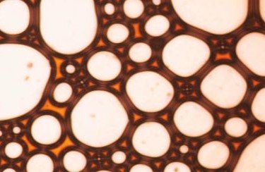 Microstructural Evolution of Materials: Surfaces & Surface-Driven Reactions