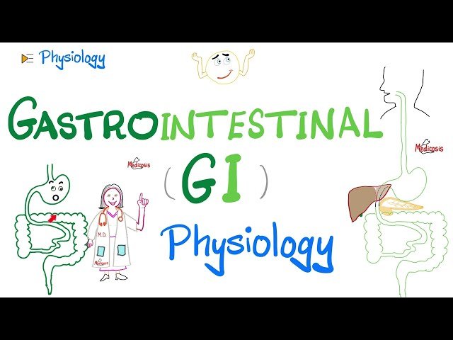 Gastrointestinal Physiology