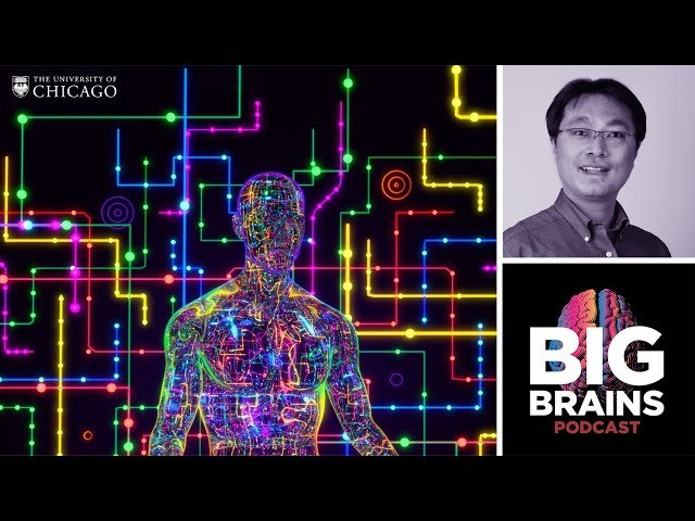 How Bioelectronics Could Heal Our Bodies and Minds