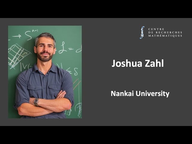 The Besicovitch Compression Phenomenon and the Kakeya Set Conjecture