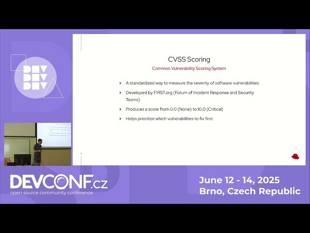 All You Wanted to Know About Software Vulnerabilities But Were Too Busy to Look Into