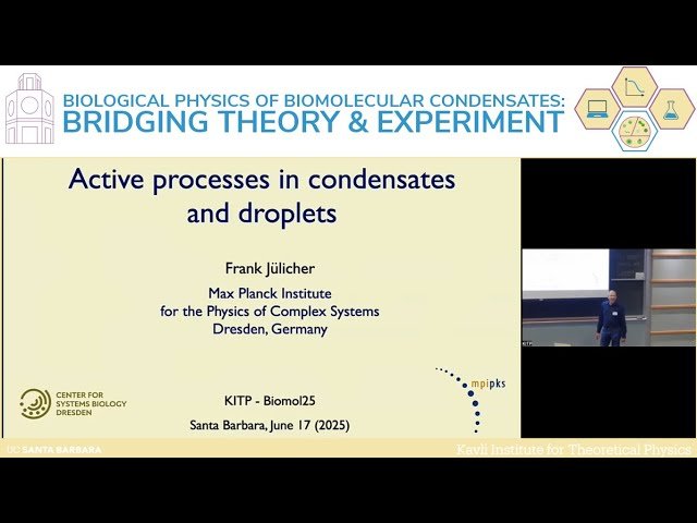 Active Processes in Condensates and Droplets