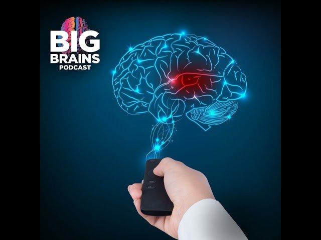 Can You Improve Your Working Memory and Attention?