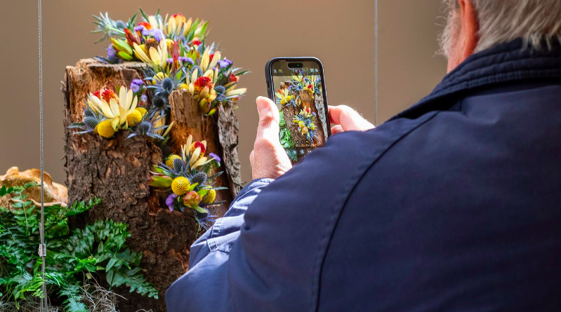 iPhone Photography: Advanced Features (Live Online)