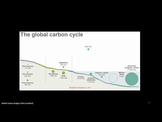 May the Forest Be with You - Trees and Climate Crisis Solutions