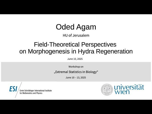 Field-Theoretical Perspectives on Morphogenesis in Hydra Regeneration