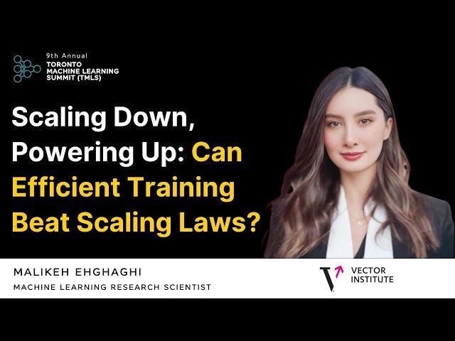 Scaling Down, Powering Up - Can Efficient Training Beat Scaling Laws?