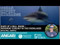 Diary of a Bull Shark - Movement Ecology in the Everglades