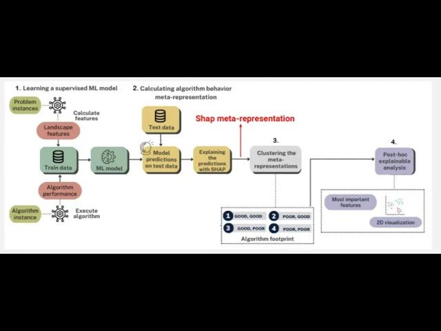 Benchmarking Beyond Statistics - Data-Driven Footprints for Explainable Black-Box Optimization