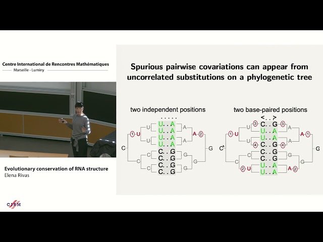 Evolutionary Conservation of RNA Structure