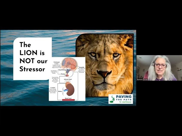 Mindset Matters - The Role of Attitude and Resilience in Cancer Survivorship