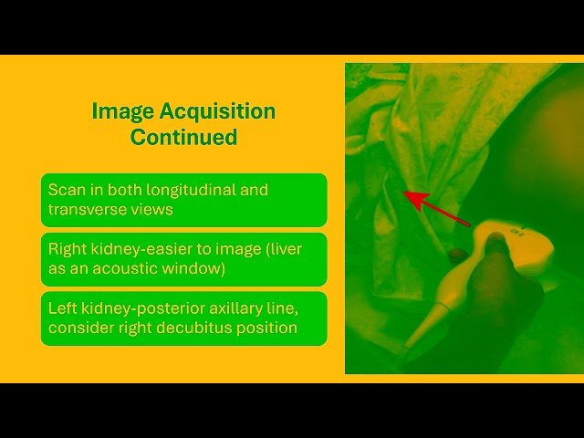 Renal and Bladder Point of Care Ultrasound