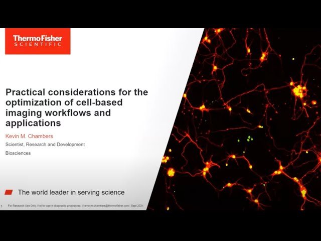 Practical Considerations for the Optimization of Cell-Based Imaging Workflows and Applications