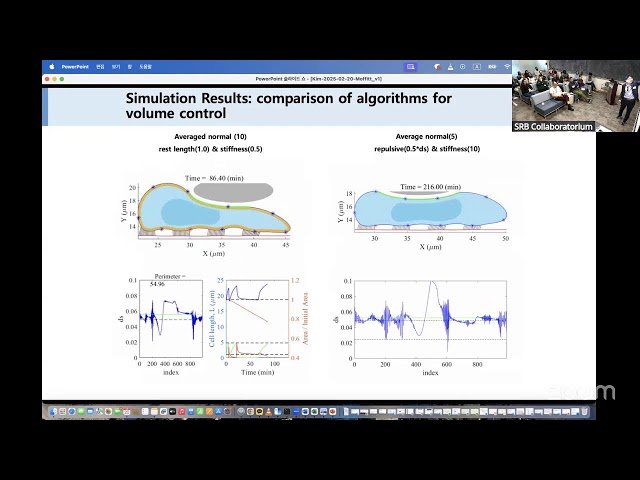 Role of the Tumor Microenvironment in Regulation of Tumor Growth and Cognitive Impairment During Therapy - Mathematical Modeling