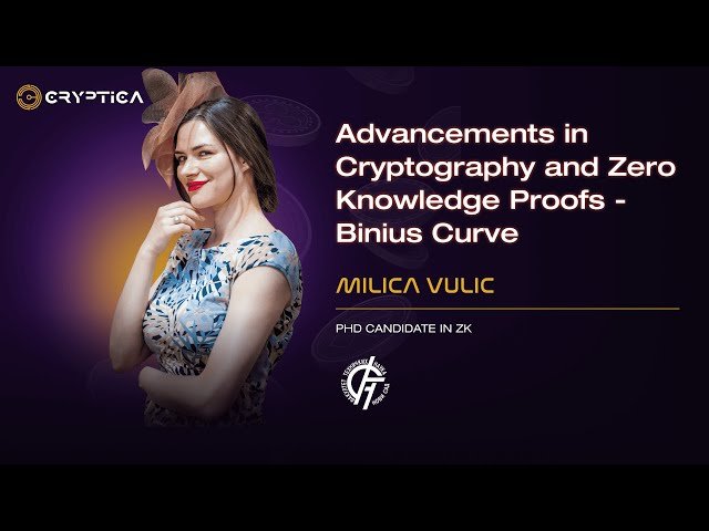 Advancements in Cryptography and Zero Knowledge Proofs - Binius Curve