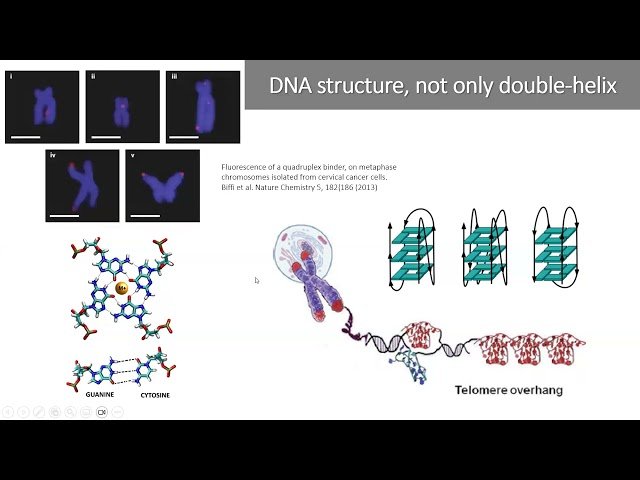 Multiscale Molecular Modeling of DNA - Toward Simulating Its Naturally Confined Environment