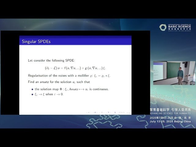 Symmetries for Singular SPDEs