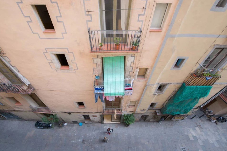 Mastering Composition: Beyond the Rule of Thirds (Live Online)