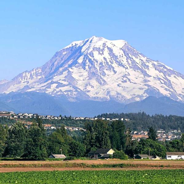 Wines of Washington State (Live Online)