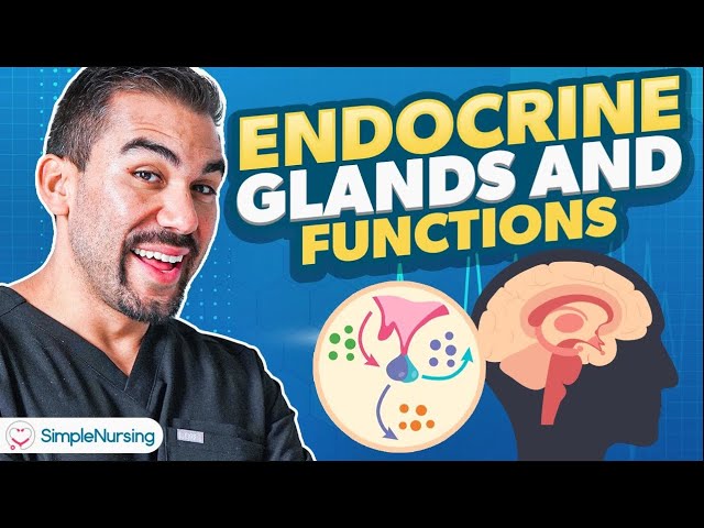 Endocrine Glands and Functions - Parathyroidism Nursing NCLEX Review