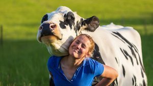 Bien-être des troupeaux laitiers