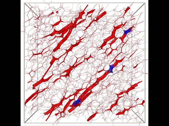 Soft Particulate Gels - Timescales, Rigidity, and Their Hidden Hierarchical Nature
