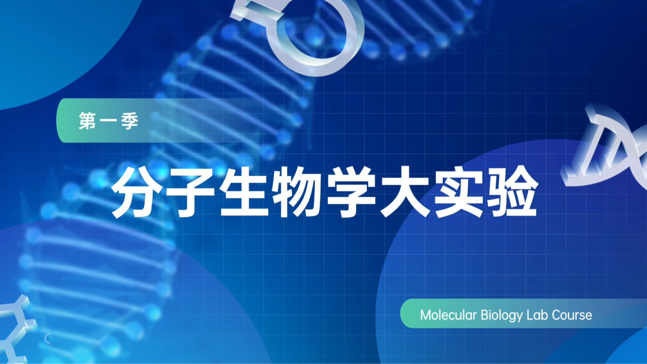 分子生物学实验
