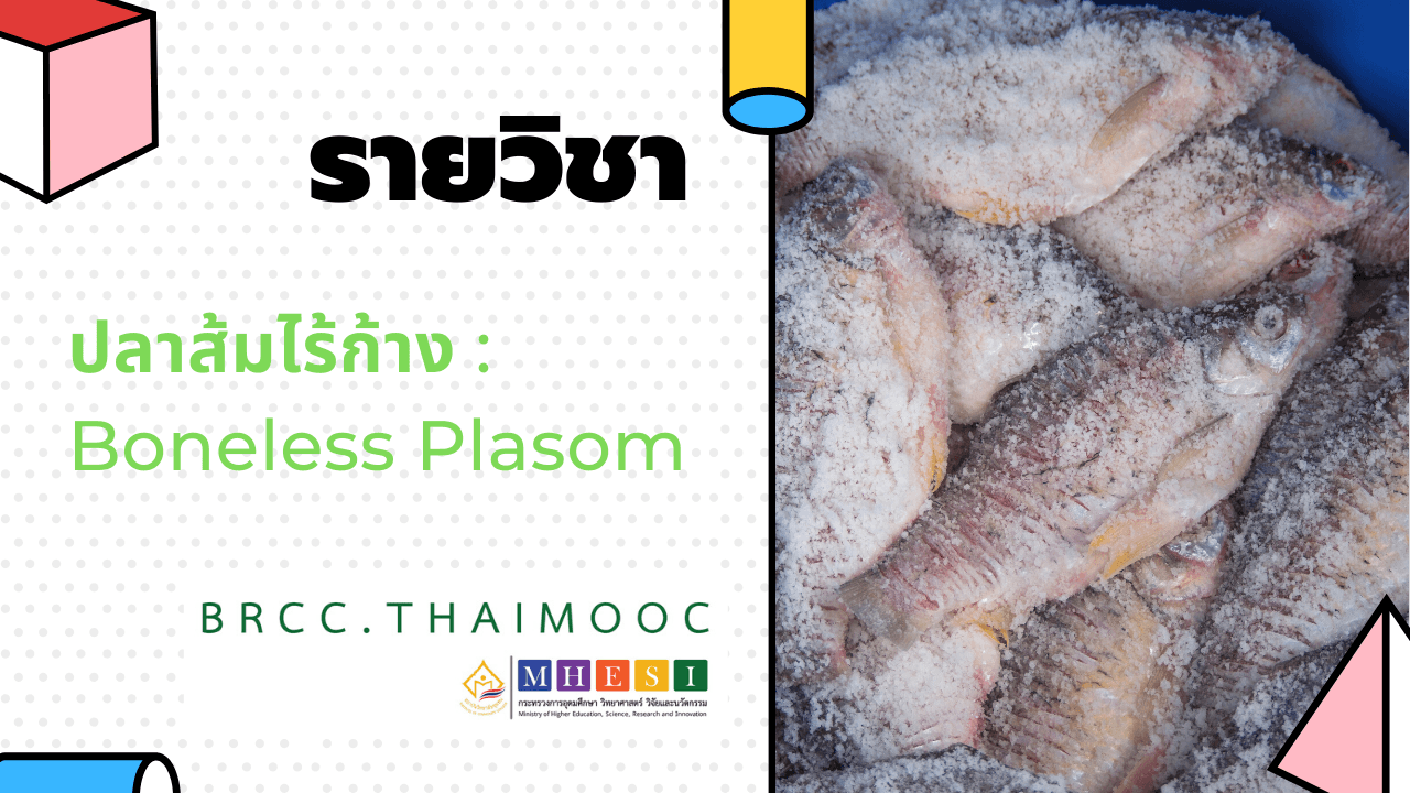 ปลาส้มไร้ก้าง | Boneless Plasom