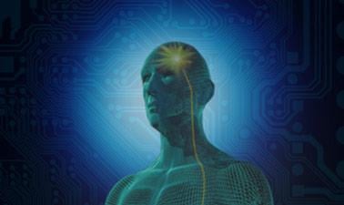 Introduction to Bioelectricity