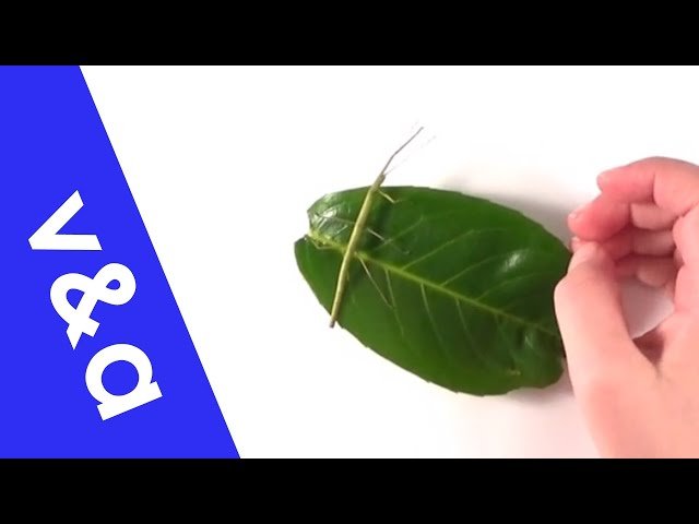 Motion - Kinematics - A Level Physics