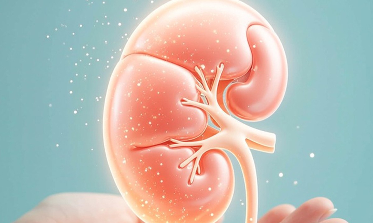 Pharmacokinetics: Drug Dosing in Renal Disease