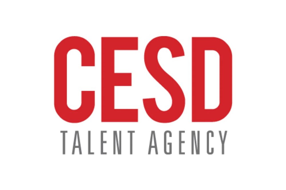 2-Week TV/Film Agent Intensive with Andrew Kaizer (Live Online)