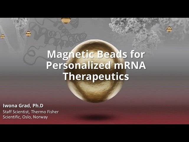 Magnetic Beads for Personalized mRNA Therapeutics