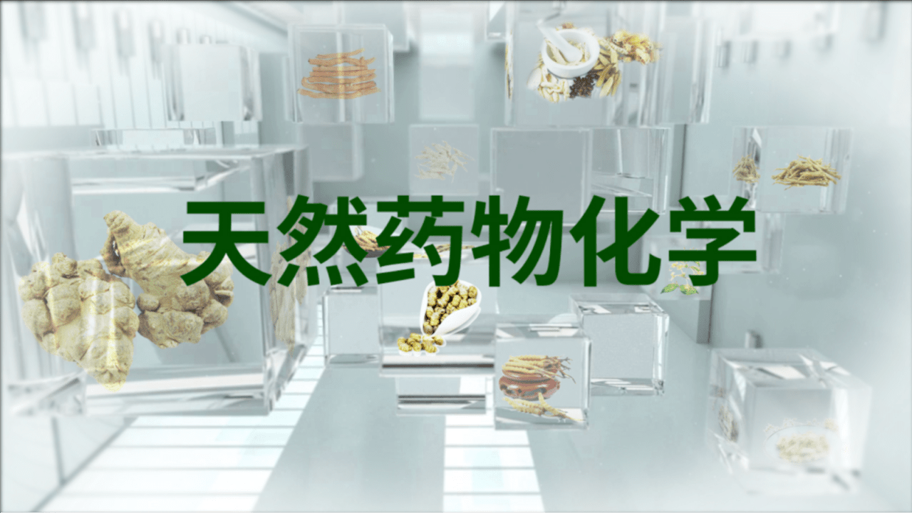 天然药物化学