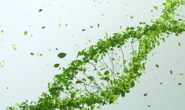 Climate Change in Business Foundations: Net-Zero Transition