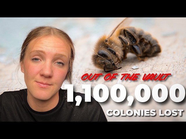 New Chemical, Dying Queens, and What 20,000+ Hives Just Told Us About This Year's Bee Collapse