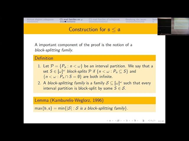 There Is a Completely Separable Mad Family of Vector Spaces