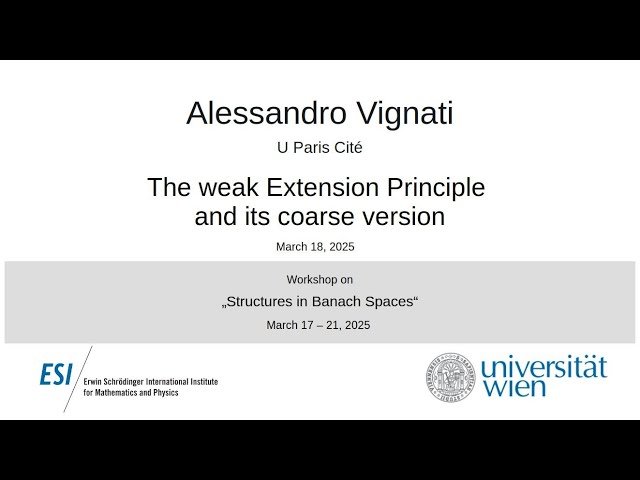 The Weak Extension Principle and Its Coarse Version