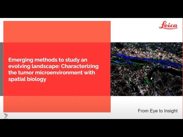 Emerging Methods to Study an Evolving Landscape: Characterizing the Tumor Microenvironment with Spatial Biology