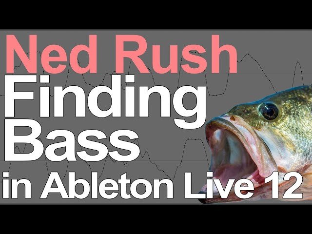 Ableton Live 12 - Bass Sample Sound Design