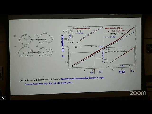 Transport in Correlated Electron Systems III