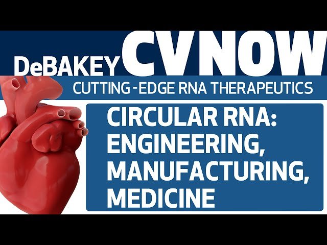 At the Cutting Edge of RNA Therapeutics - Circular RNA Engineering