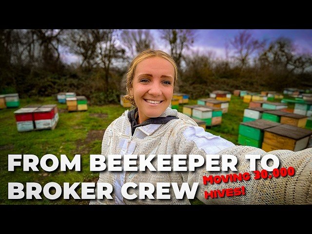 The Hidden Side of Almond Pollination No One Shows You