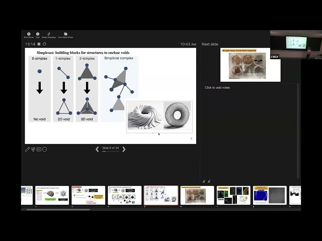 Topological Analysis of Spiking Correlation Networks in Neurological Systems