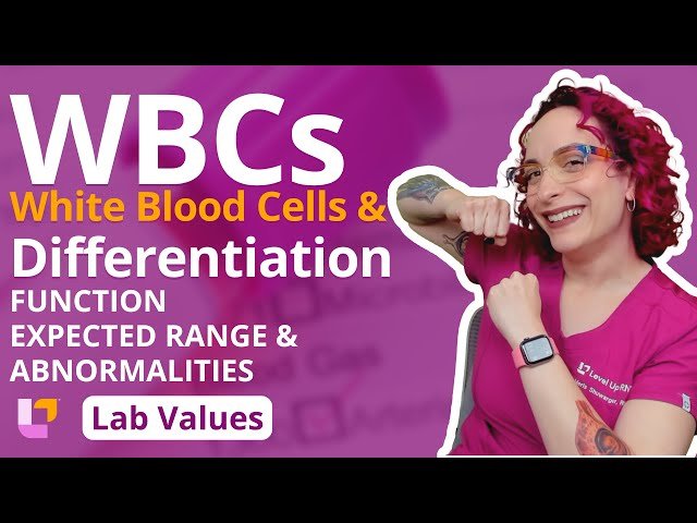 White Blood Cells and Differentiation - Adult Lab Values for Nursing Students