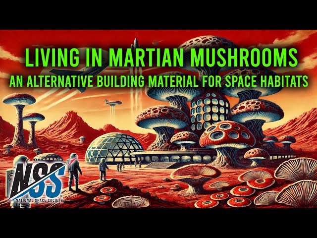 Living in Martian Mushrooms: An Alternative Building Material for Space Habitats